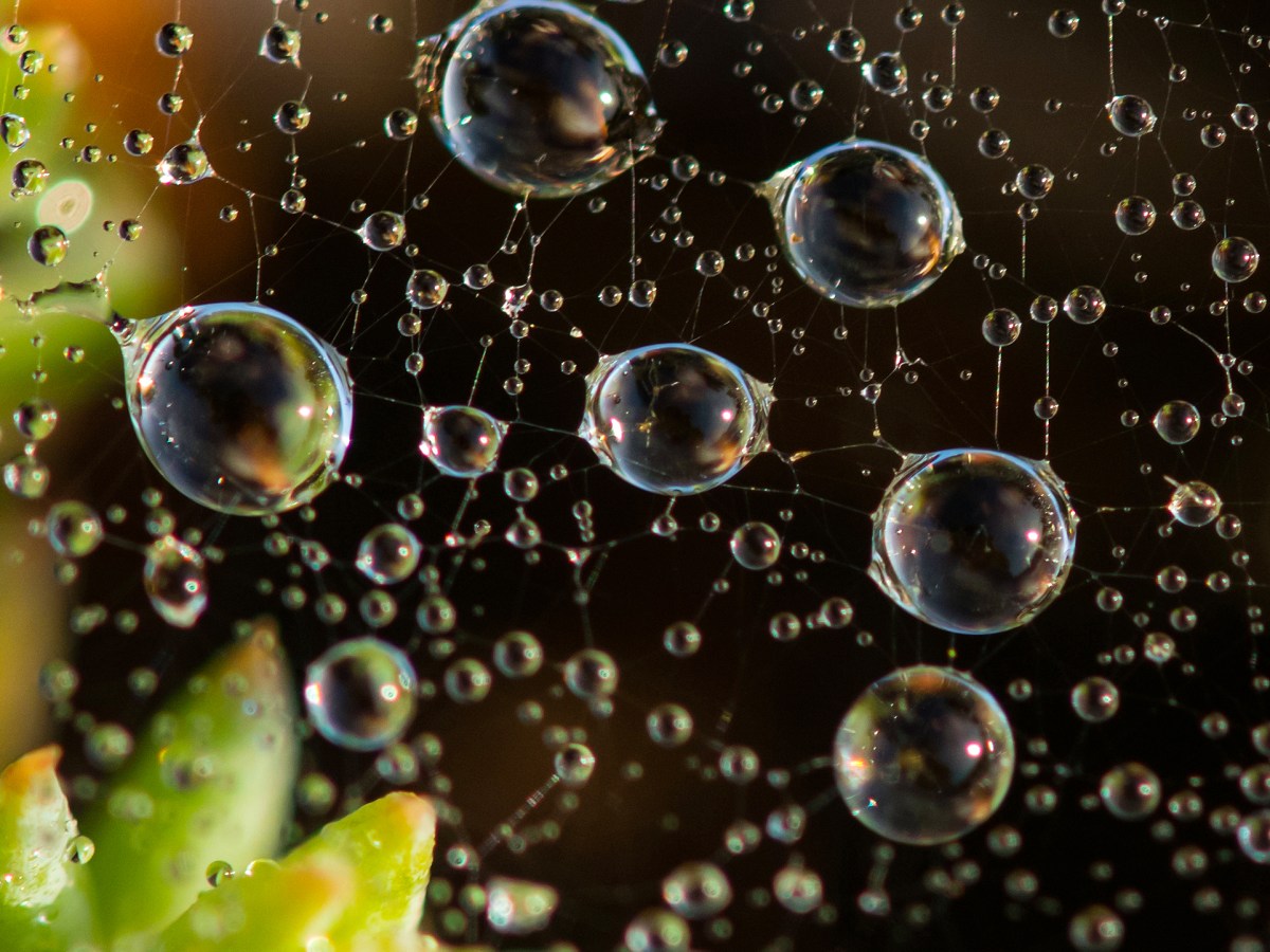 Winter Break in Saugatuck,&nbsp;Michigan