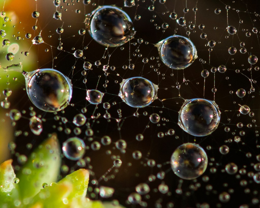 Winter Break in Saugatuck,&nbsp;Michigan