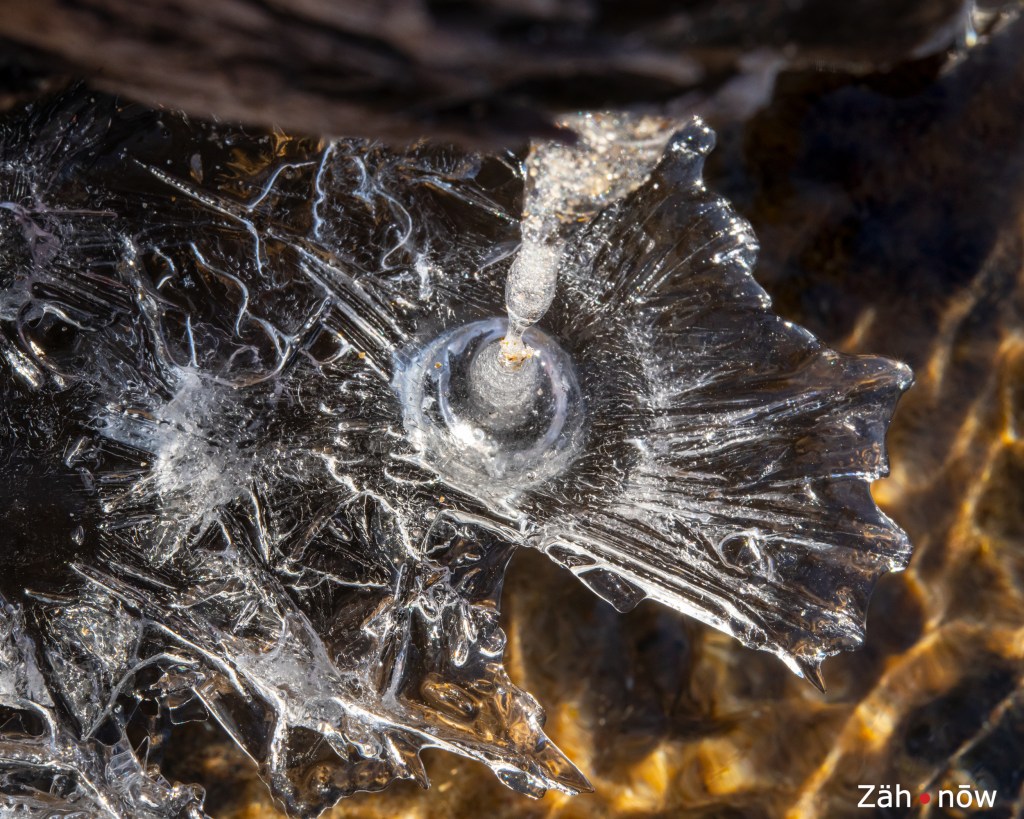 Facets of Transcendence